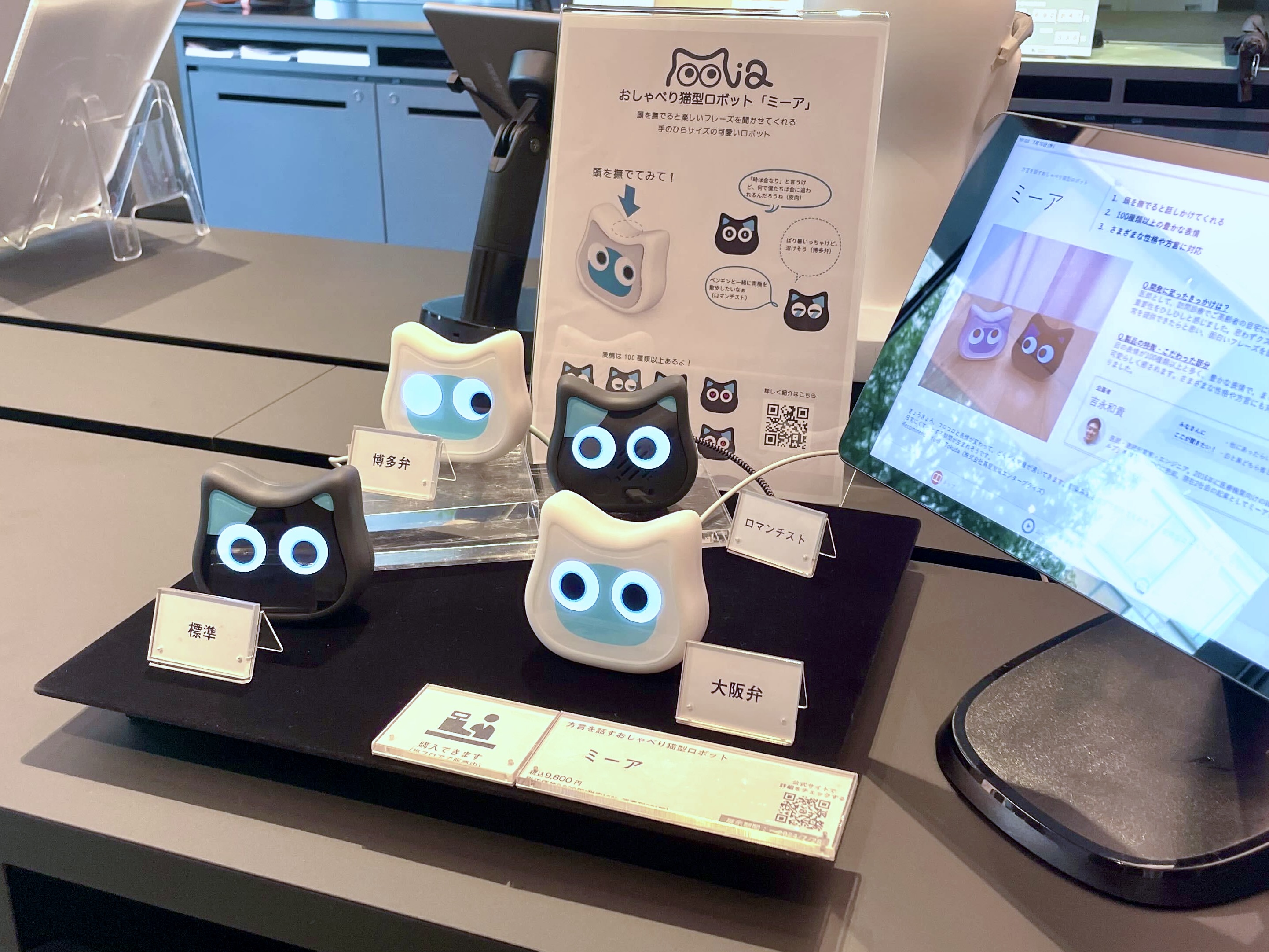 「蔦屋家電+」ミーアの展示期間を延長しました!